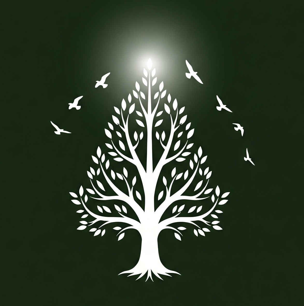 Reabilitação Urgente – Grupo New Life